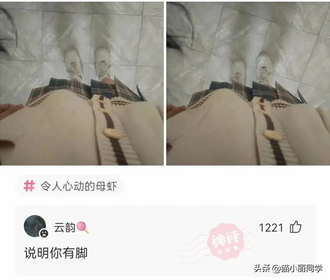 神回复：下次再听到钱难挣、屎难吃，就知道怎么回复了