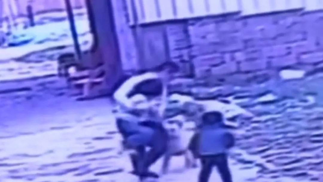 狗冲向孩子，舅舅看见一把抱起孩子