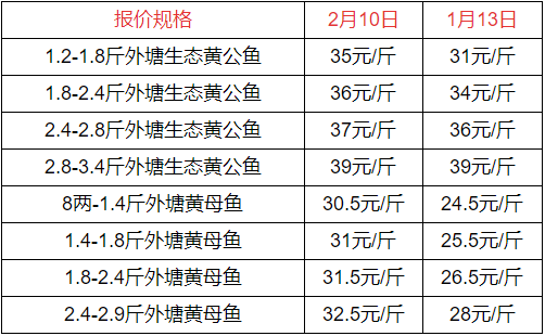 甲鱼价格多少钱一斤乌龟甲鱼最新价格