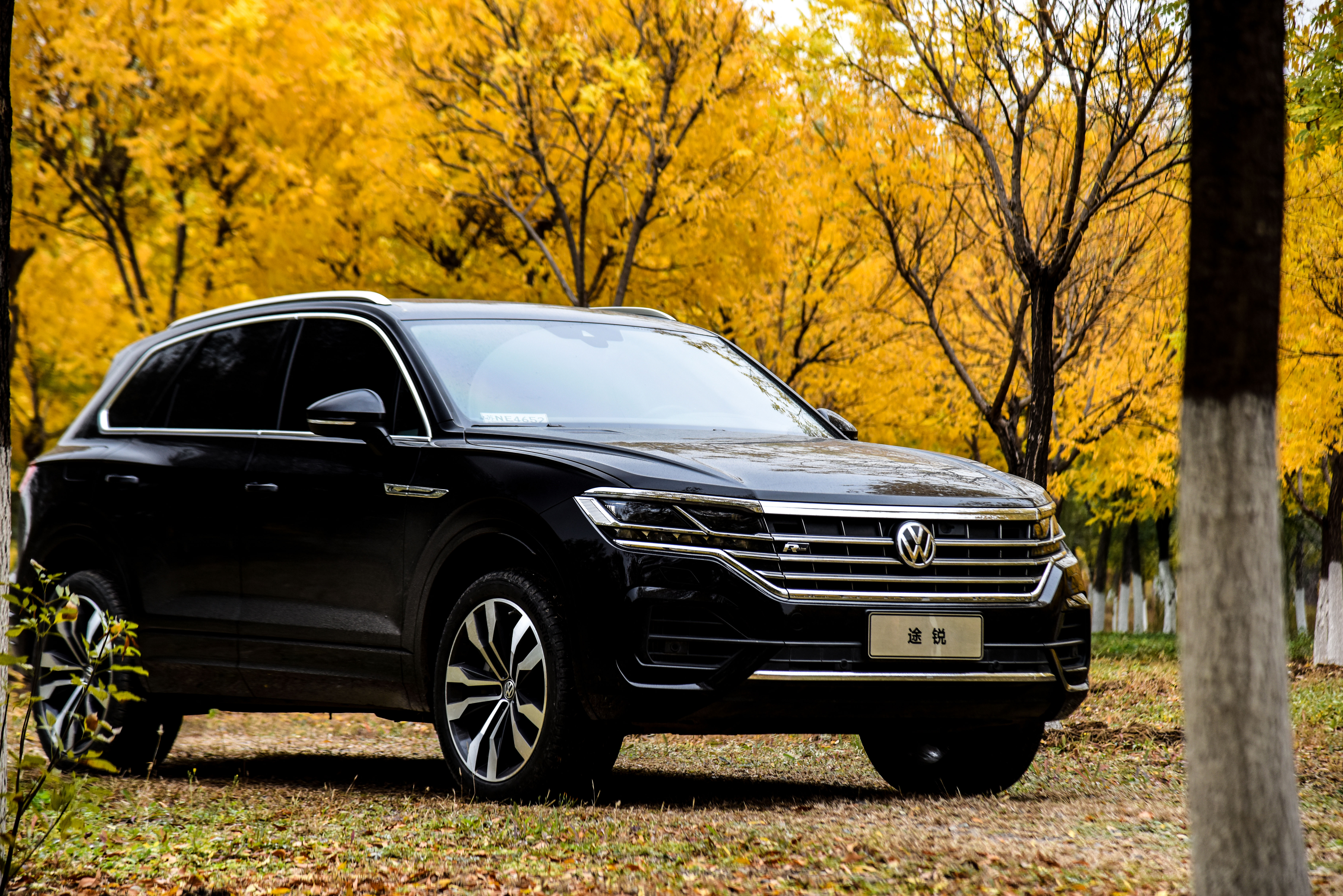 大众奔腾报价和图片(矿泉水瓶装茅台) - 四帝国车市