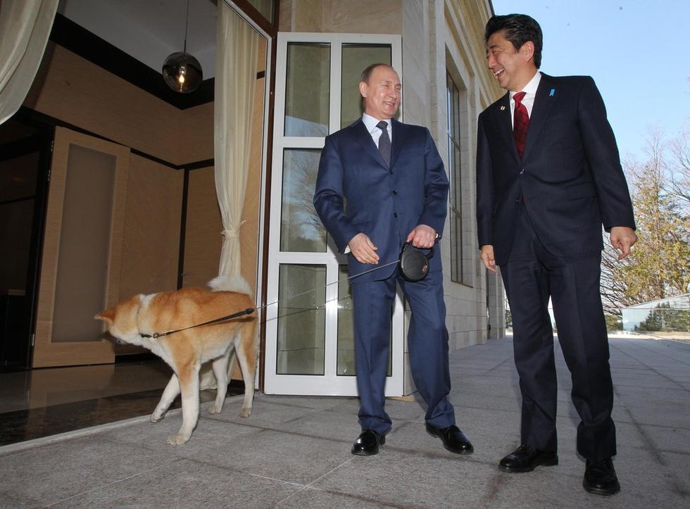 美国为啥没参加俄罗斯世界杯(日本将为安倍晋三举行国葬“好友”普京为何不出席？)