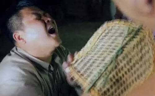 亚马逊雨林有多可怕？丛林十种动物与世隔绝，十米长蛇真的存在吗