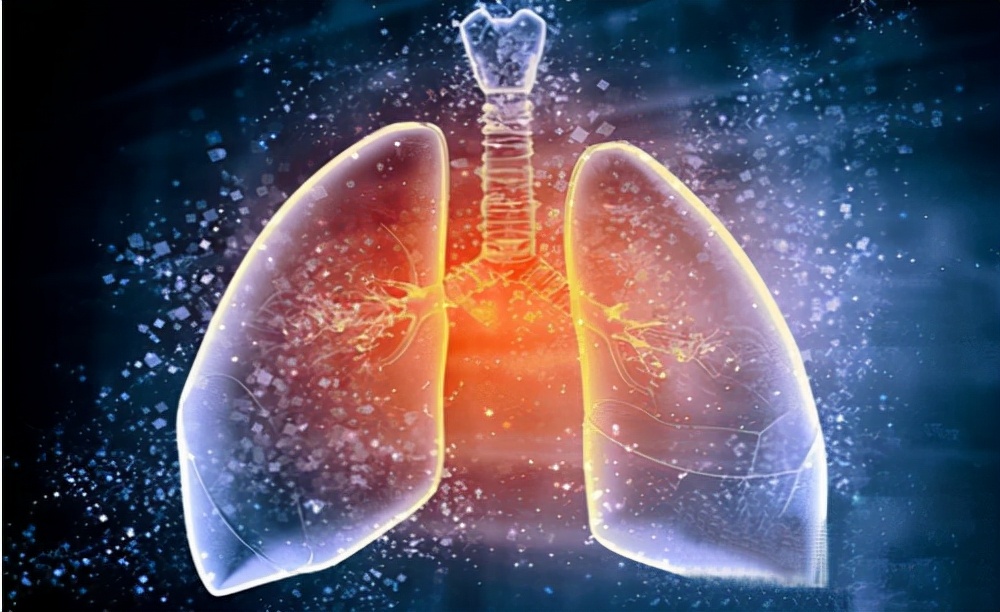 20岁重庆知青娶31岁带4娃寡妇，放弃返乡留山沟，婚姻幸福美满