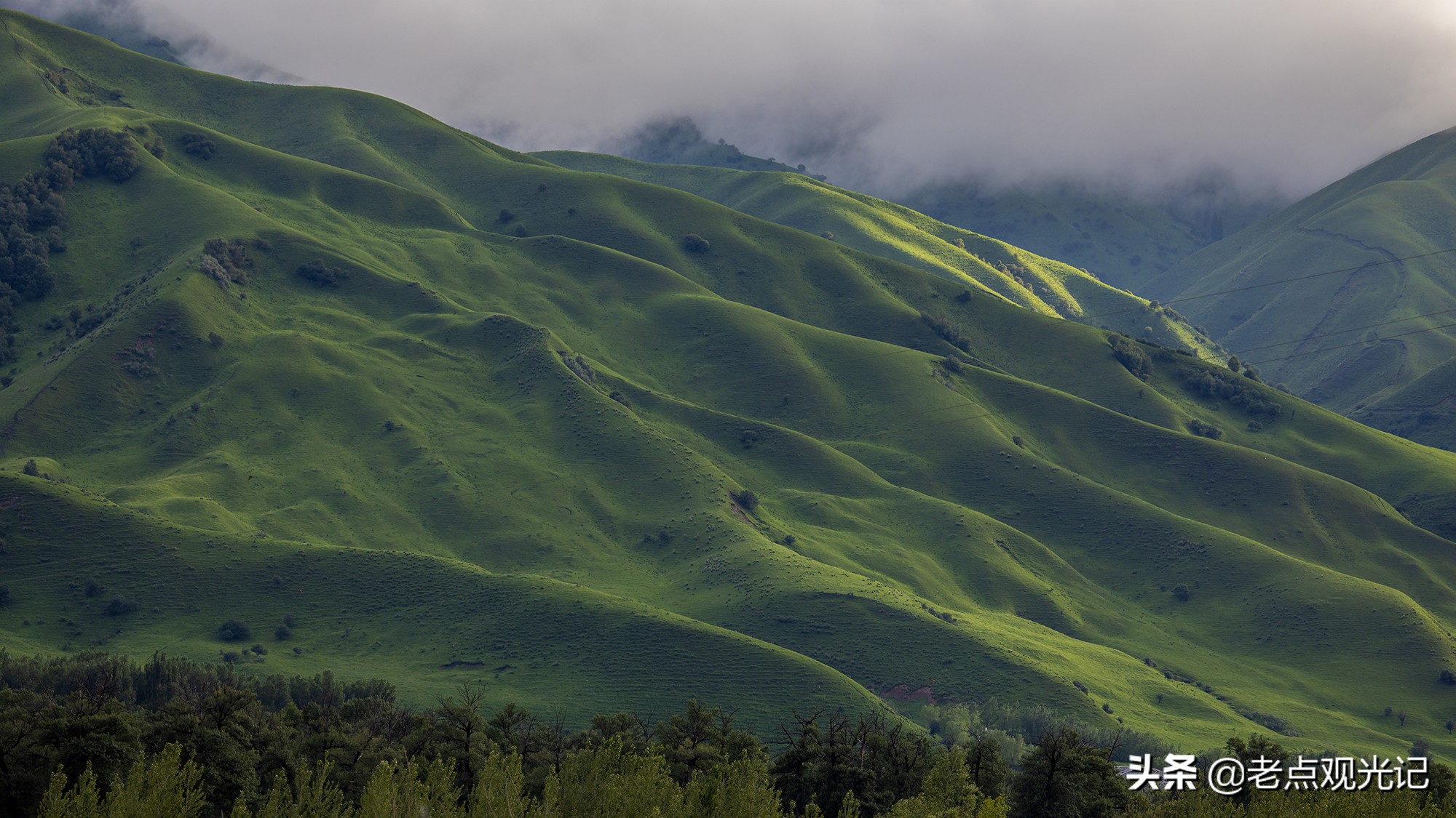 自驾游新疆——那拉提草原路边的风景