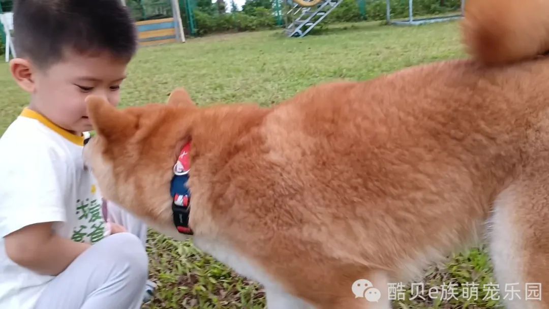 宠爱有家 夏日派对丨酷贝E族