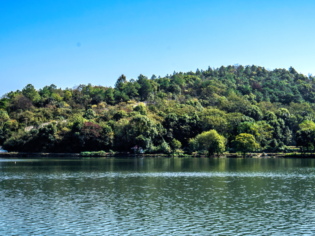 半山449㎡“双拼”③丨一线湖山墅，胜却人间无数