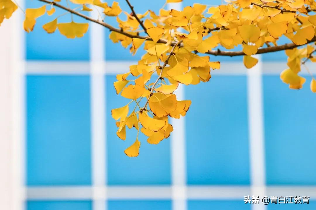 秋冬美图来袭① | 为你喜欢的校园美景投票吧