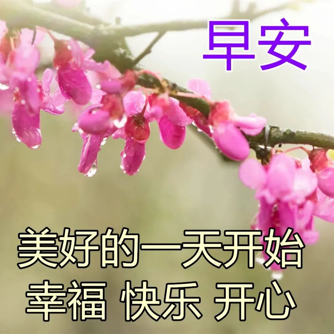 3月21日群发简短祝福语精选，微信群发快乐早安表情动态表情图片