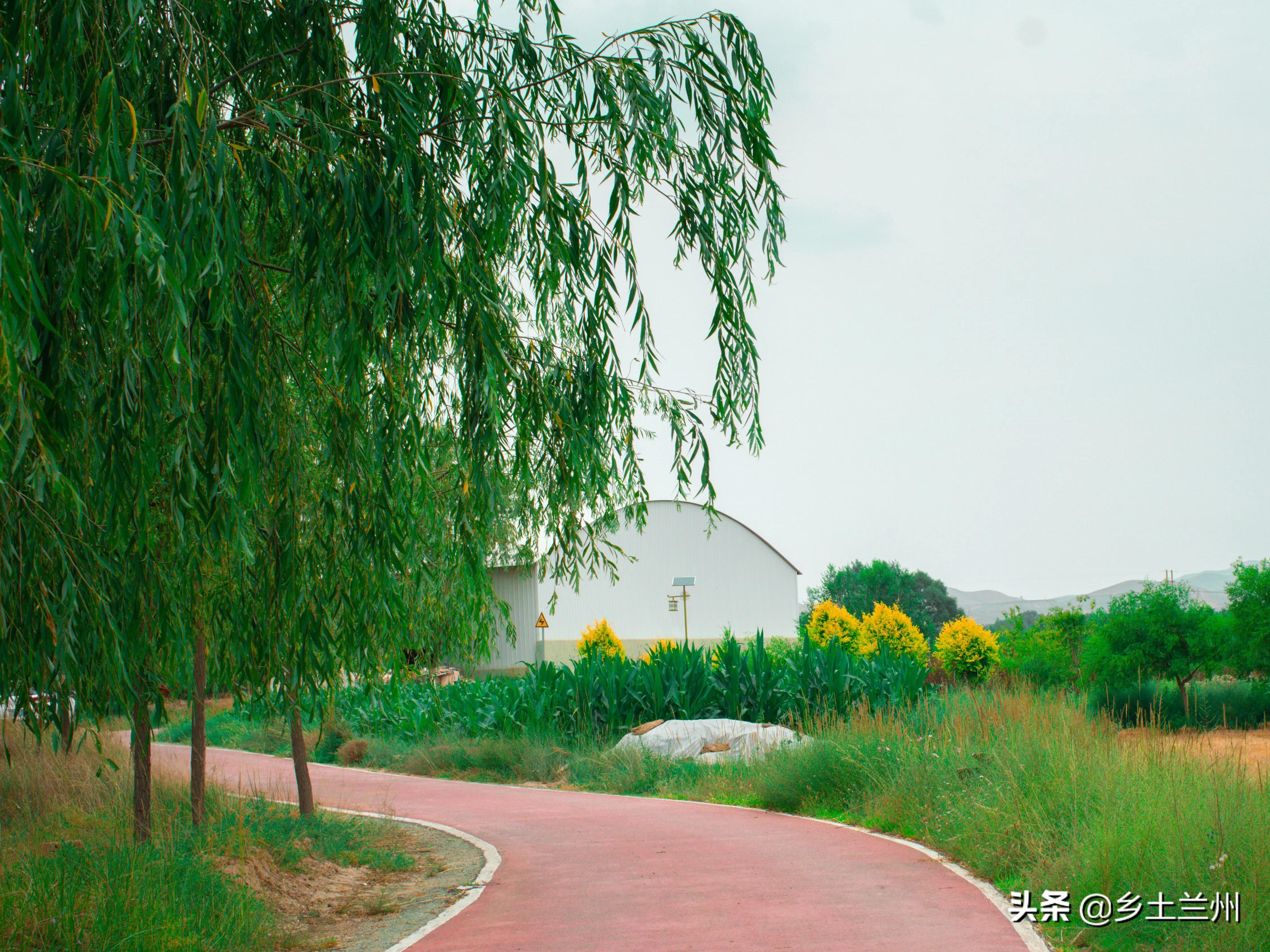 兰州五一去哪玩？骑马踏青观三江，游历史宗教园