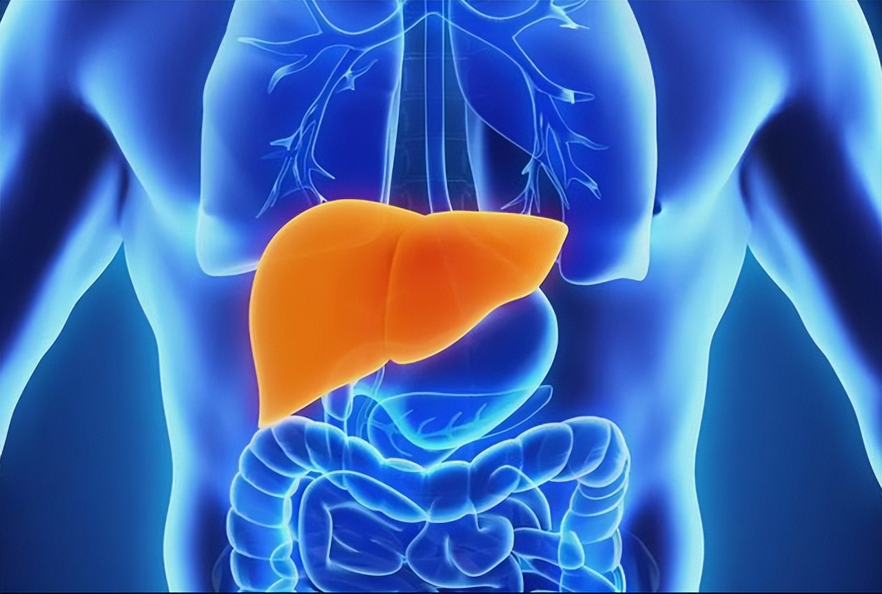 李兰娟：早上是养肝“黄金期”，坚持吃5种早餐，或可让肝功变好