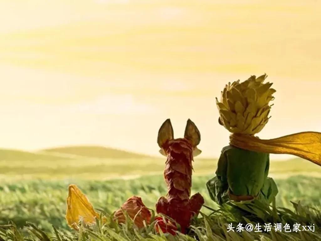 休闲人生，从抄书打卡开始（8）在复杂的社会里，如何活出精彩？