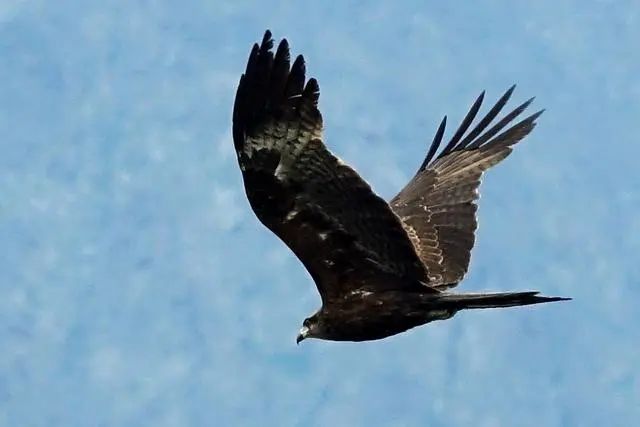 父母之爱子，则为之计深远