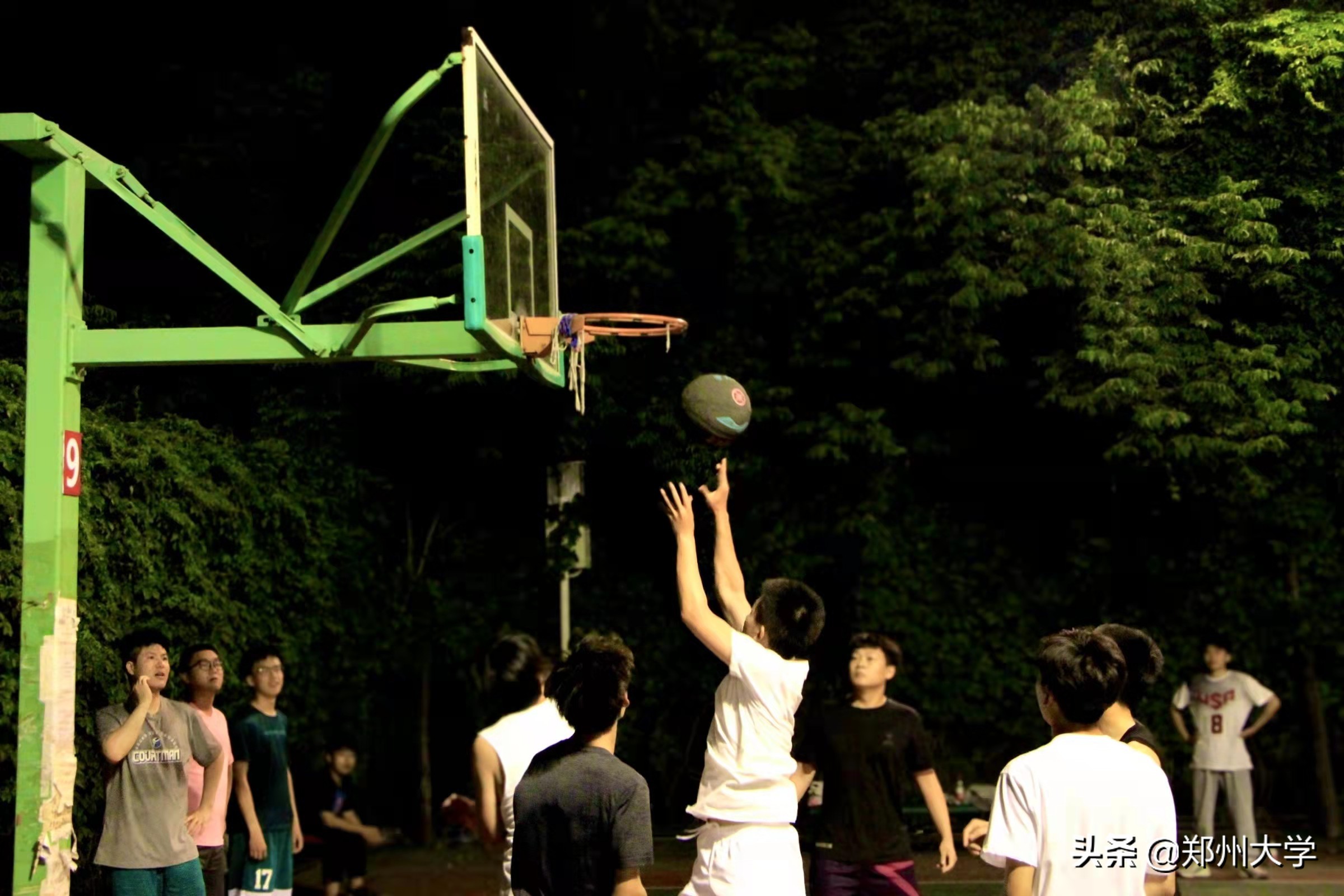 zzu的“校园十佳”