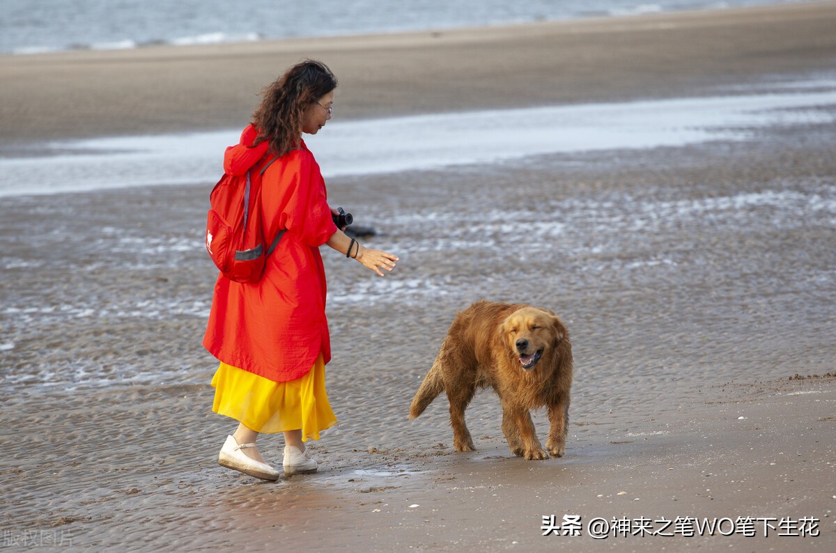 饱经沧桑是什么（饱经沧桑是什么意思）-第1张图片-科灵网