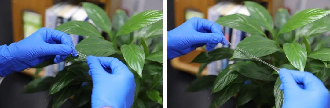 从“零”出发，她拿下以校长为名的校设最高层次奖学金！