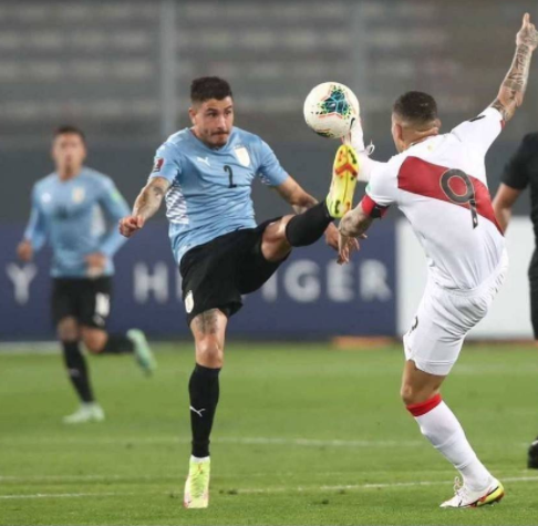 世界杯预南美赛程(世南美预出线形势：厄瓜多尔稳了 乌拉圭秘鲁争第4)
