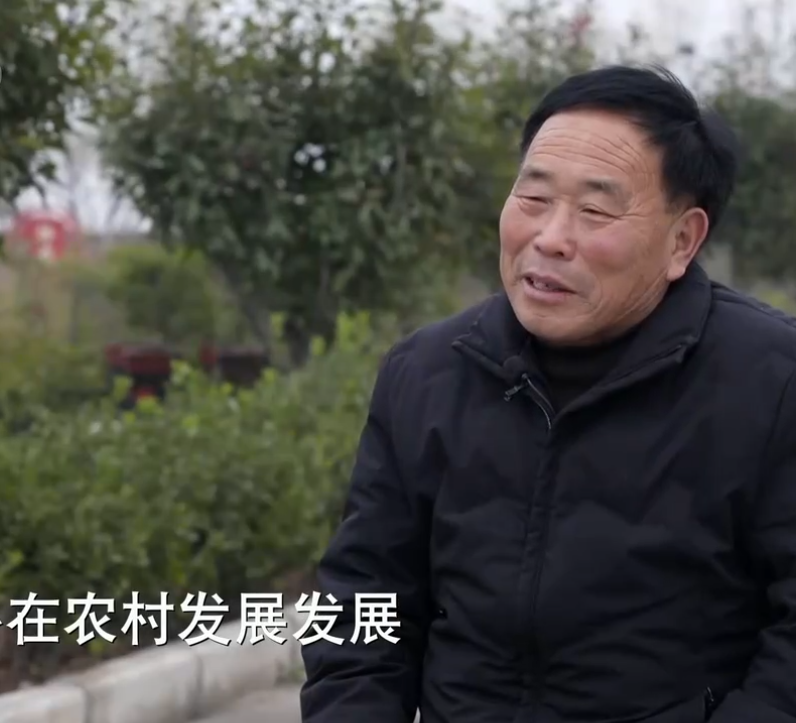 上海一富家女，回农村养牛10年，专养母牛，卖牛粪，年入1.6亿元