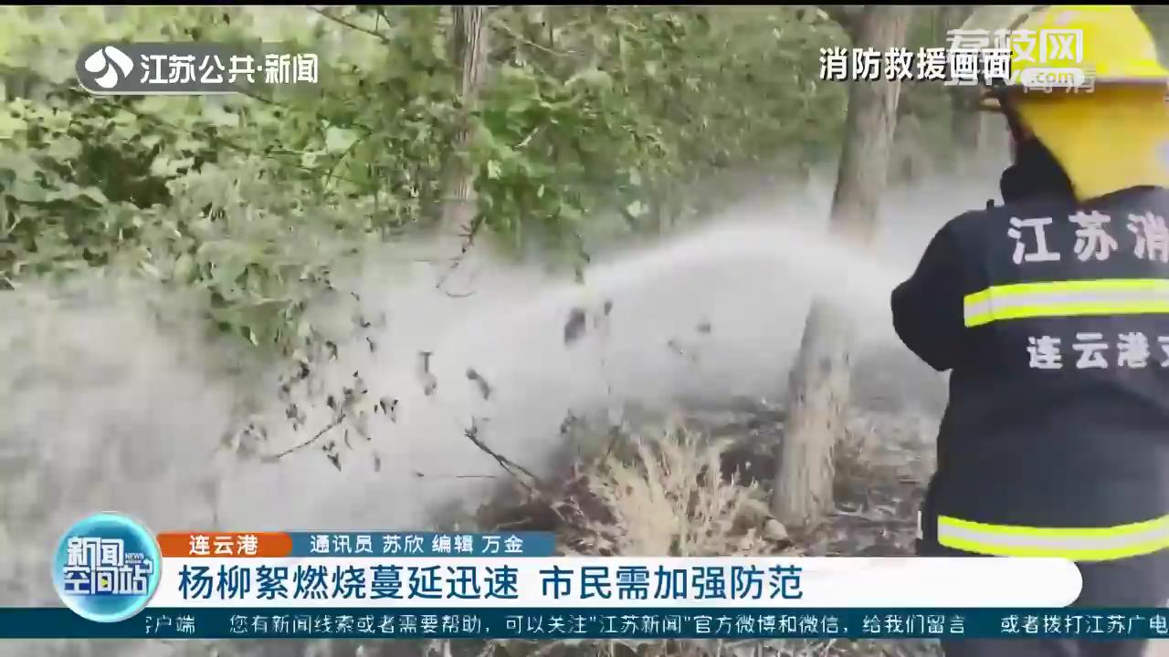 连云港一处柳絮着火引燃树木草堆 消防紧急扑救 提醒：市民需加强防范