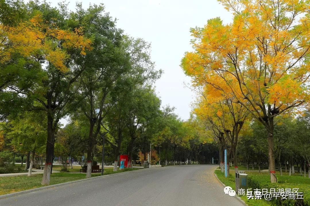 【商丘美景】红橙黄绿,赋予日月湖无限美好