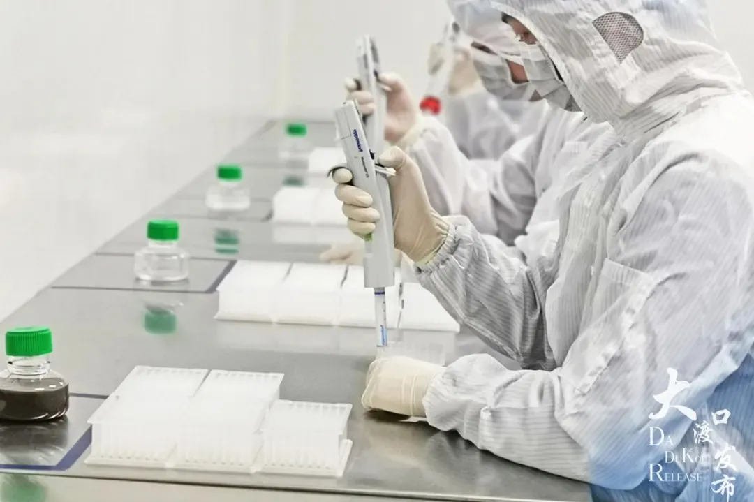 奔赴崇礼！大渡口生物医药企业助力2022北京冬奥会