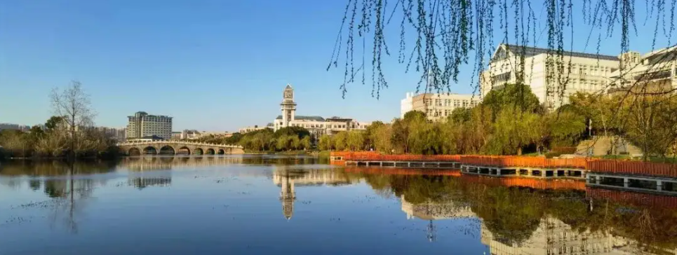 中南财经政法大学自学考试/专升本有什么专业？