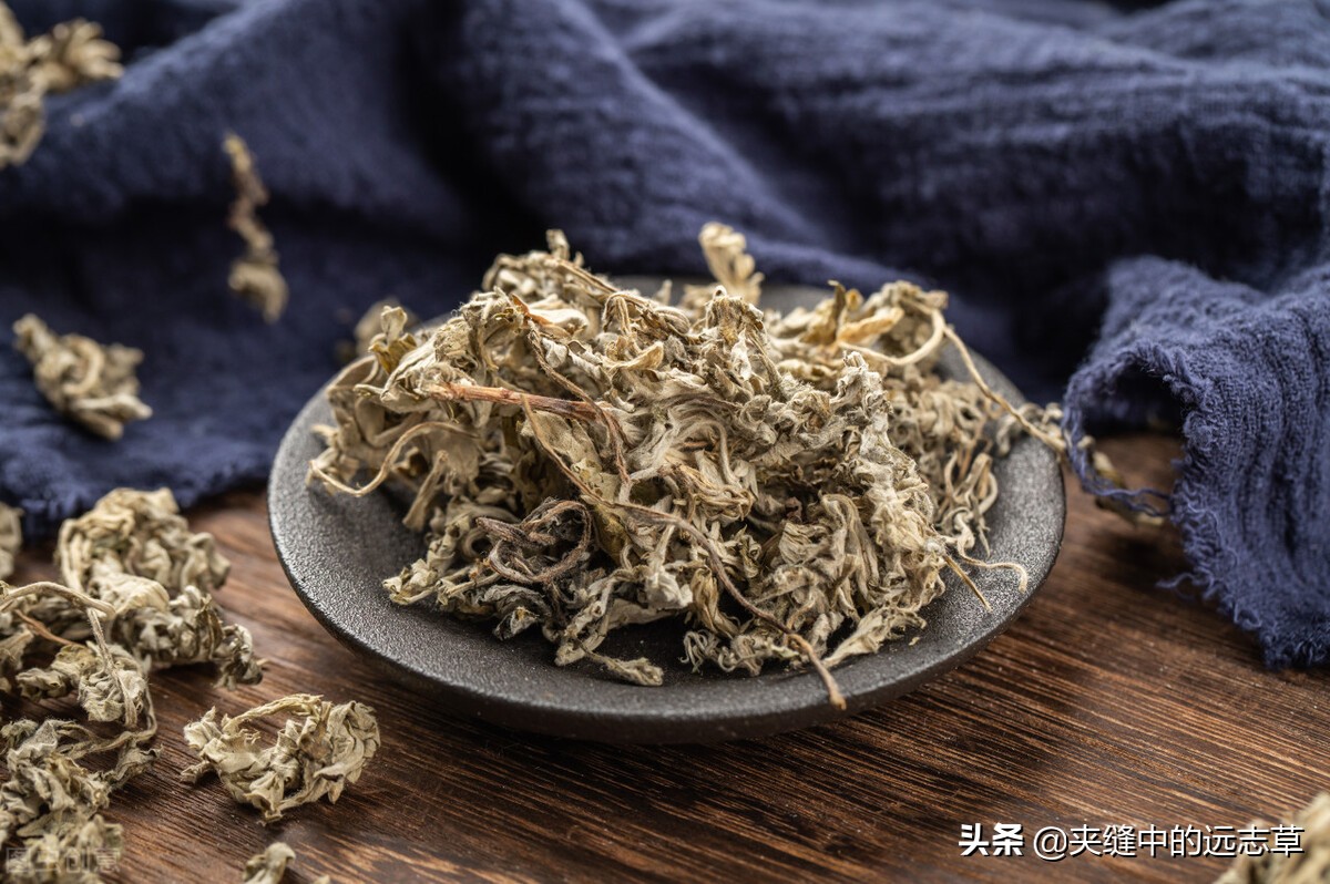 冠心病、高脂血症，多因淤血停，送你味中，血管的清道夫