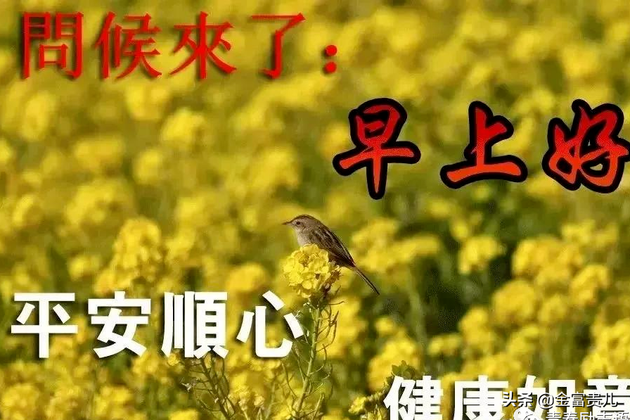 最新版早安动态图片 早上好祝福语句子