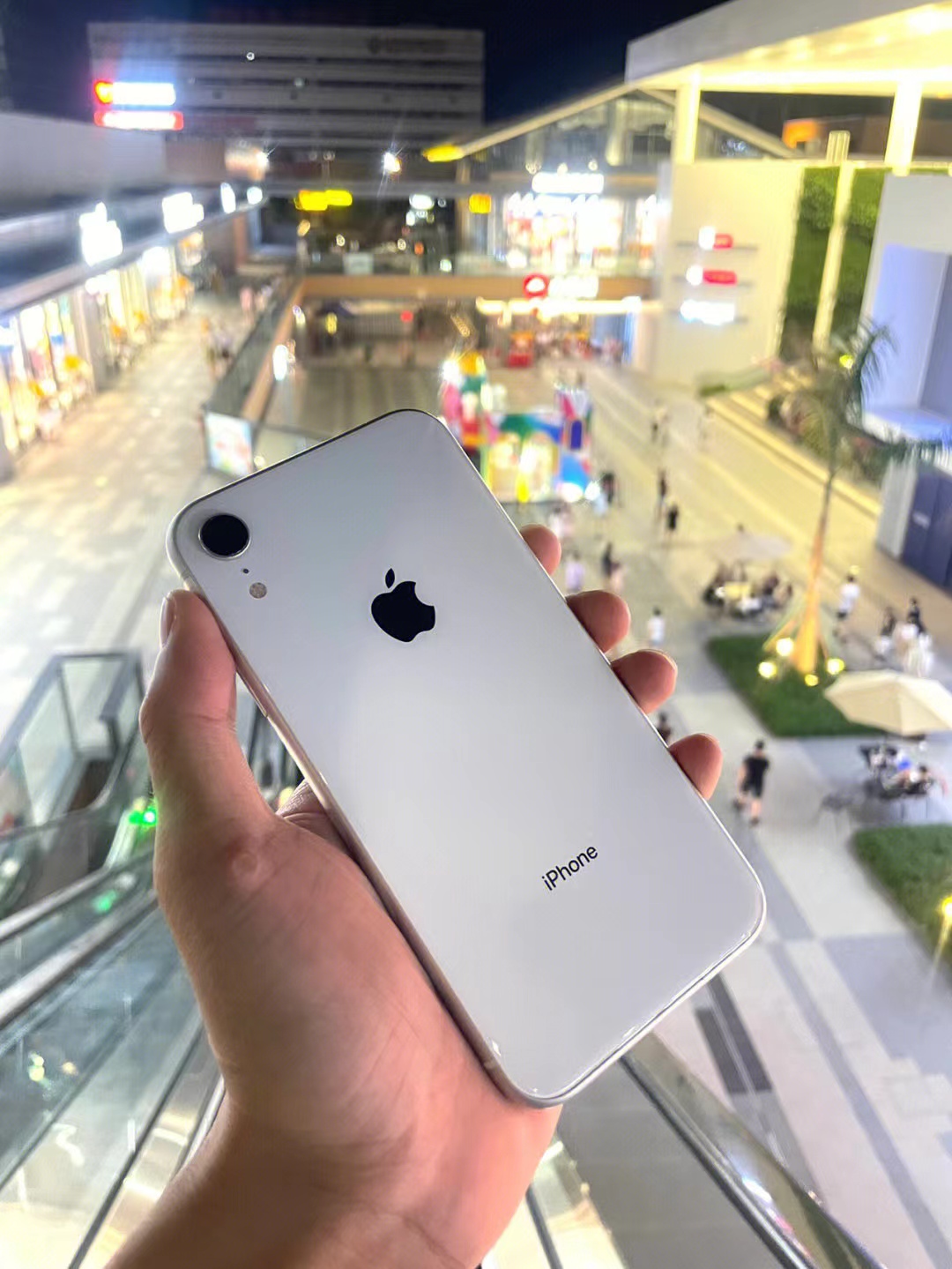 iphonexr是苹果几代（iphonexr是苹果12吗）-第1张图片-昕阳网