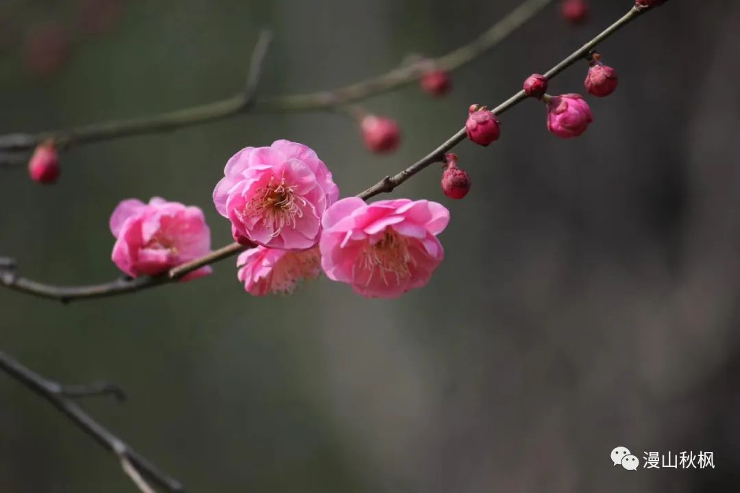 交友要交心，处人要处真