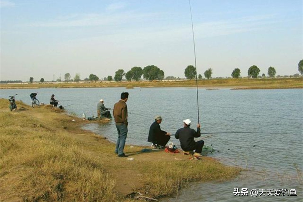 夏天什么风向适合钓鱼（夏天钓鱼什么风向好钓）-第4张图片-科灵网