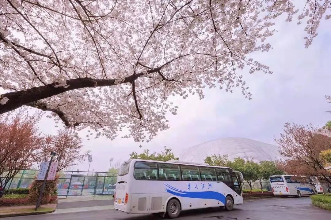 你，爱上浙大的理由是________