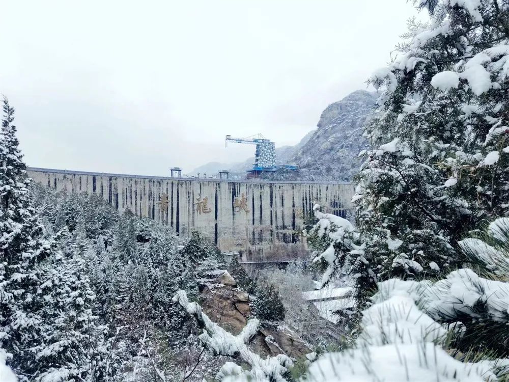 当春花遇上春雪，看京城别样的诗意与浪漫~