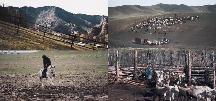 蒙古国，贫与富，饿死的牛羊，只买6元的羊肉，一夜暴富的梦想
