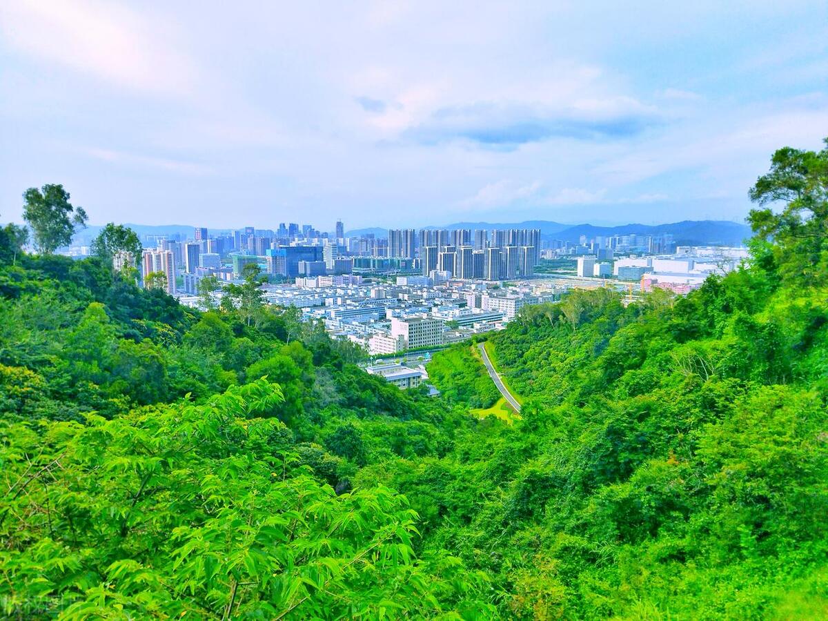 江门有什么历史景点广东江门旅游必去十大景点