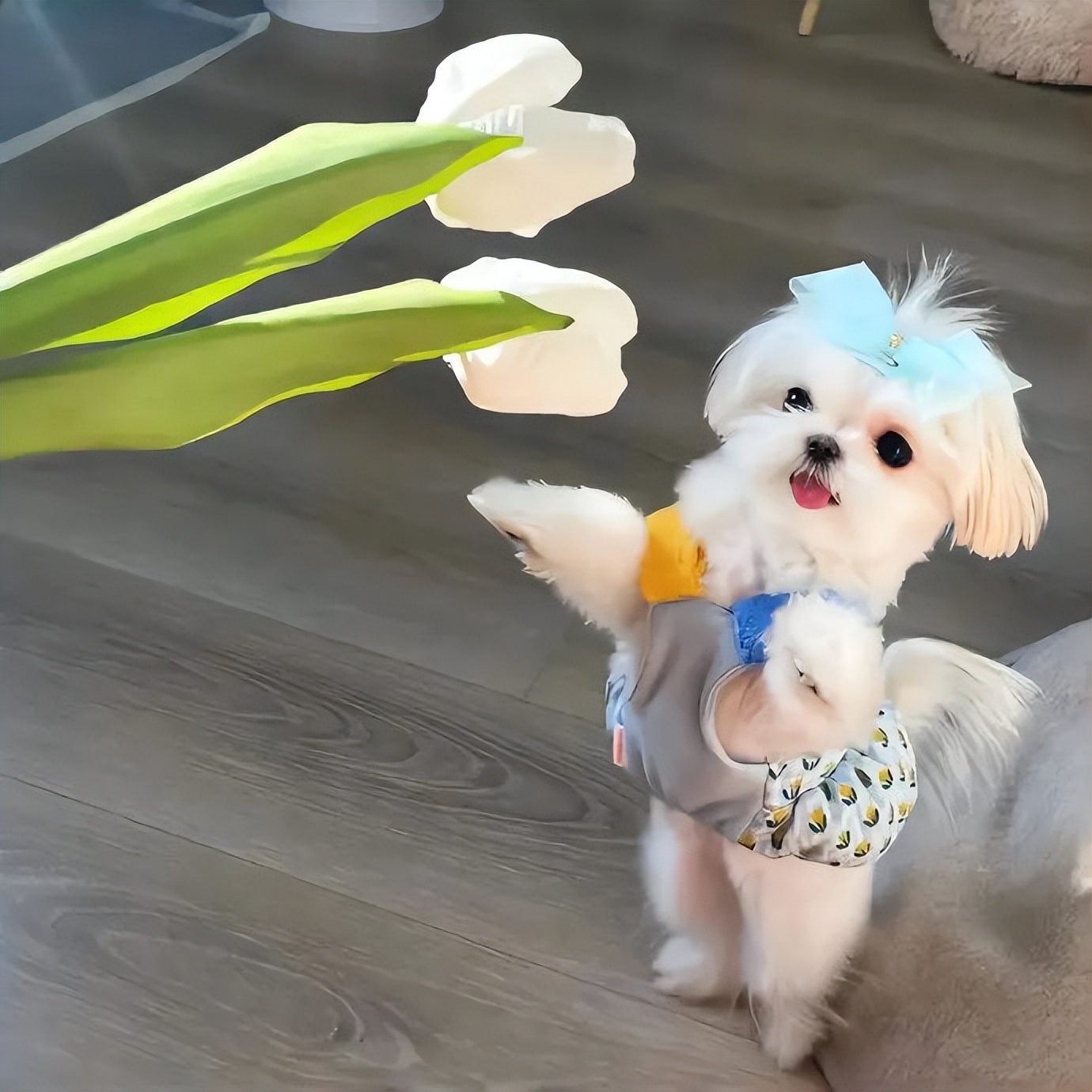 适合永久做头像的图片有格局大气的微信头像