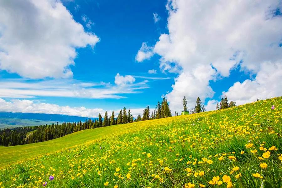 平静的图片 心情(静心和心静才是人生最美好的境界)