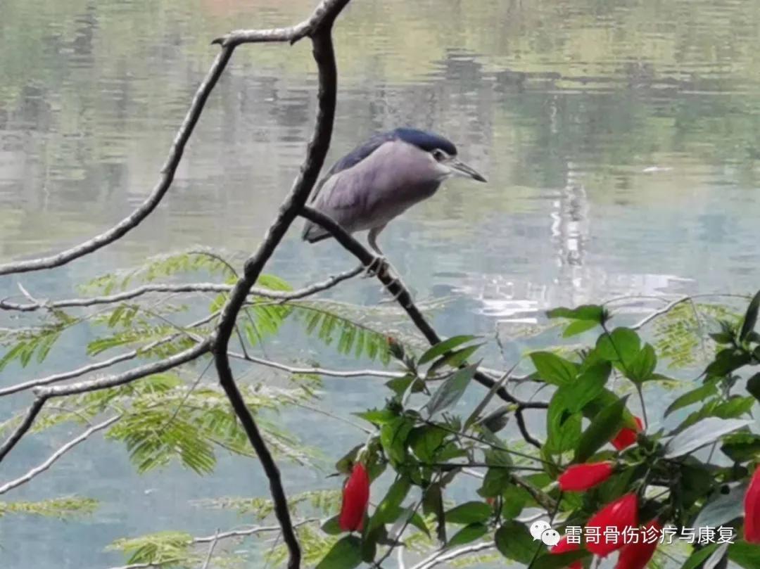 雷人雷语：思考本质再做医疗