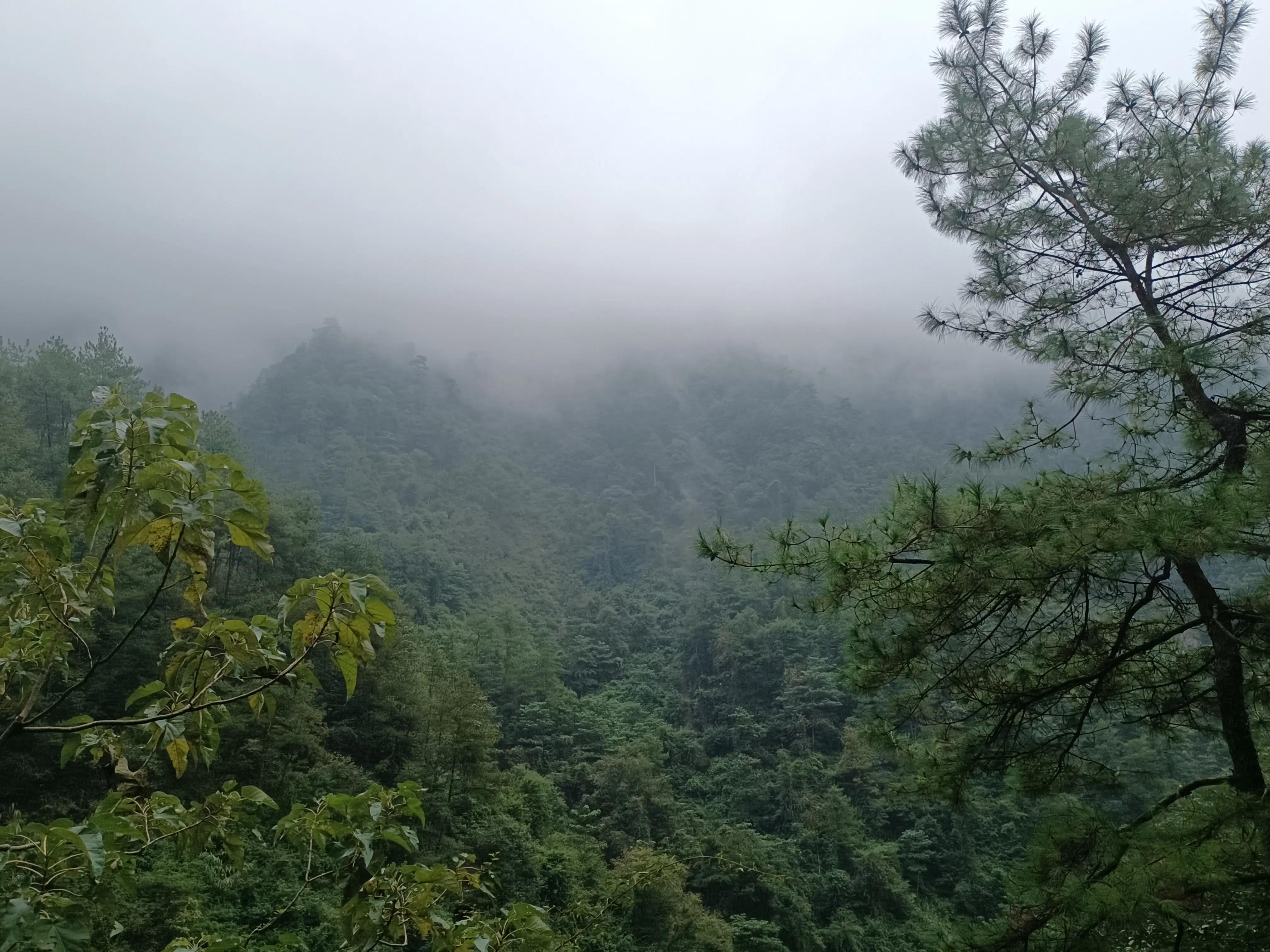 行到水穷处，坐看云起时一一雨游白云山