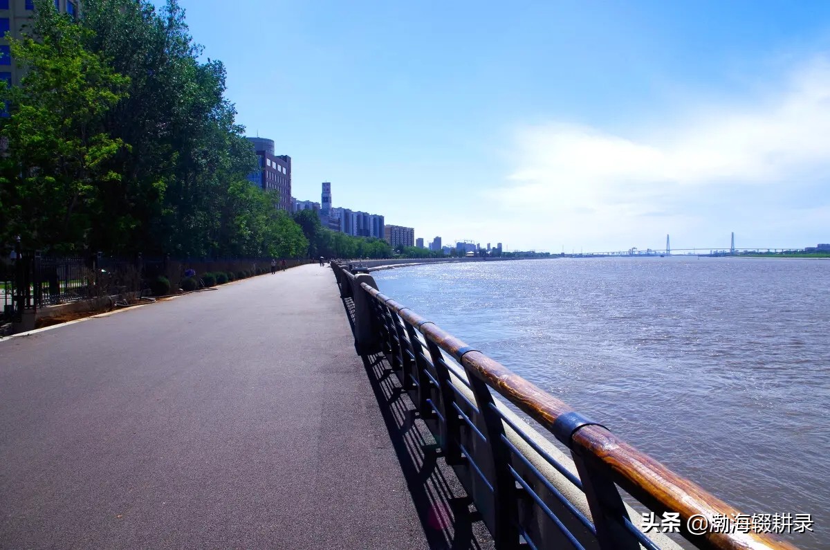 营口记忆丨营口人，正在见证从未有过的历史