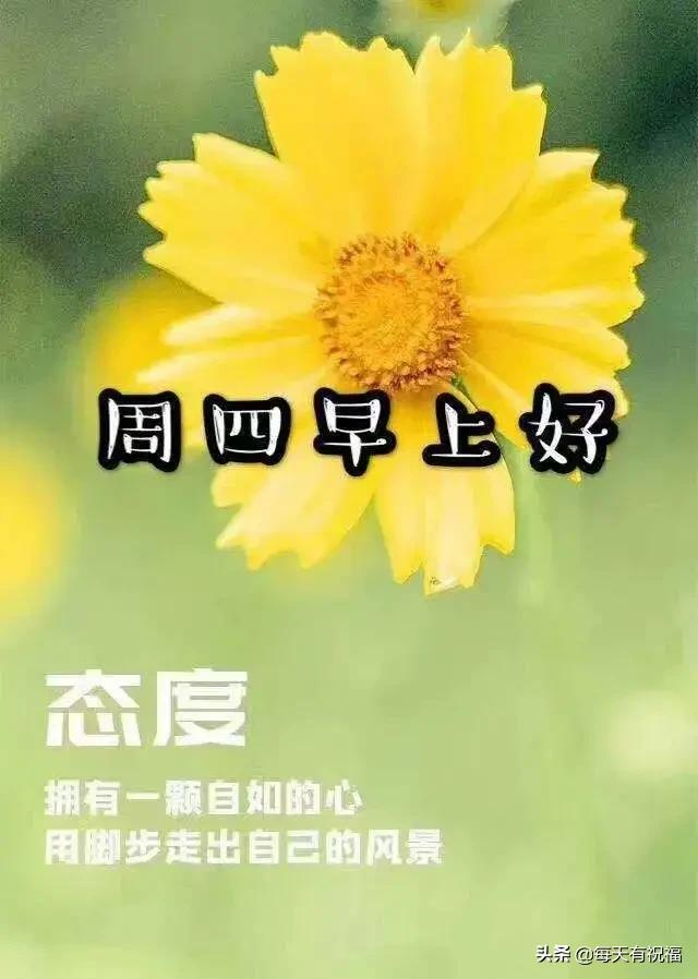 星期四最新早上好祝福短信语句，周四清晨漂亮的早安问候文字图片