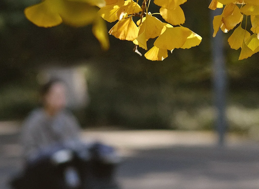 王太利个人资料(被《小苹果》“误杀”的筷子兄弟)