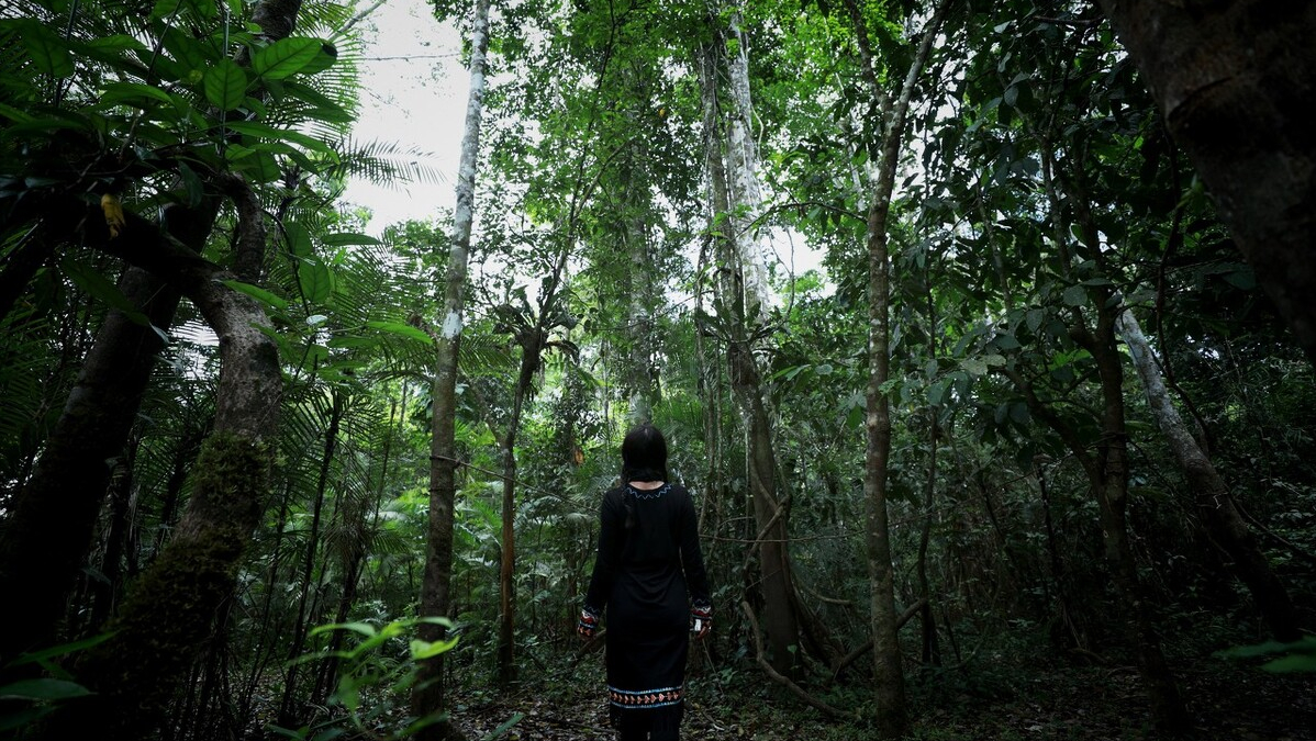 亚马逊雨林有多可怕？丛林十种动物与世隔绝，十米长蛇真的存在吗