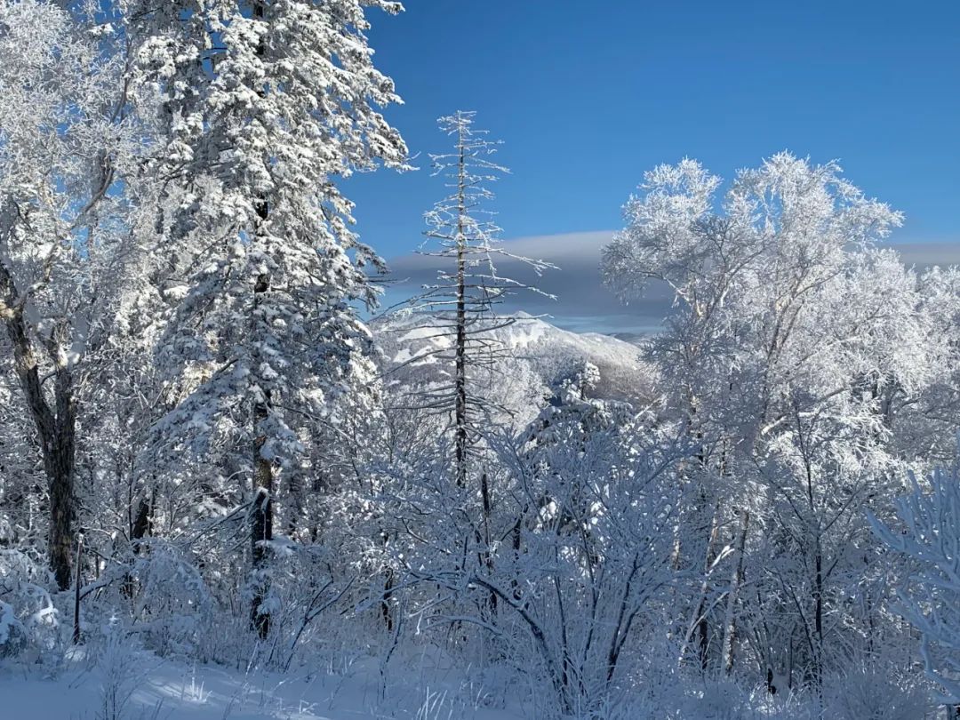 登高眺远景秘境身心愉冬日，来一场任性的雪山游