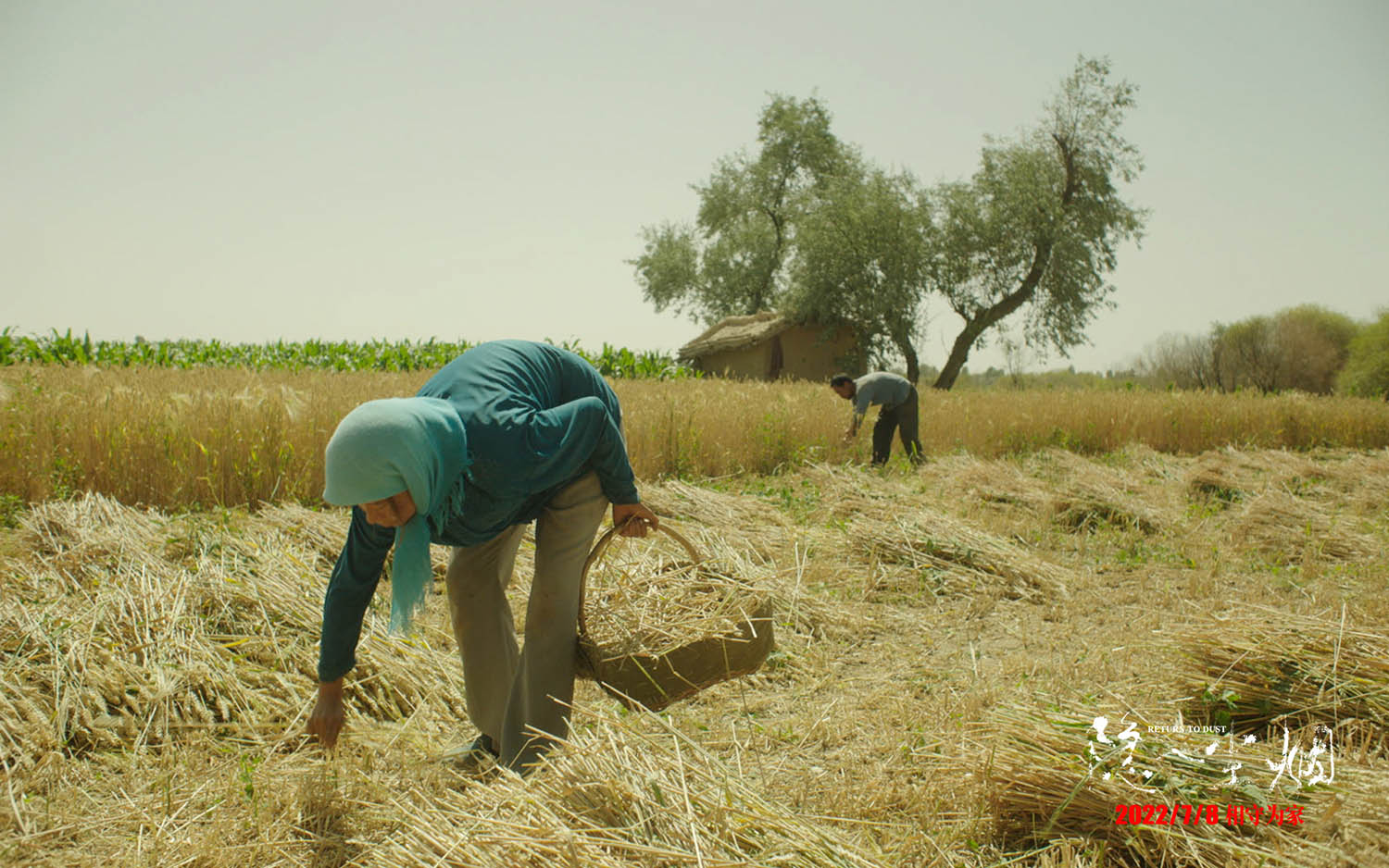 海清主演电影《隐入尘烟》定档7月8日 演绎西北农村的淳朴浪漫