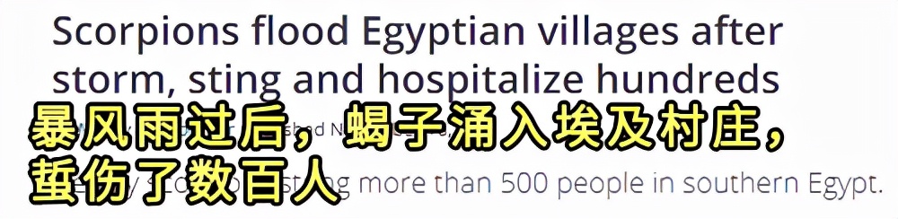 2021年奇异事件Top15：世界最大的兔子被偷、长着人牙的怪鱼
