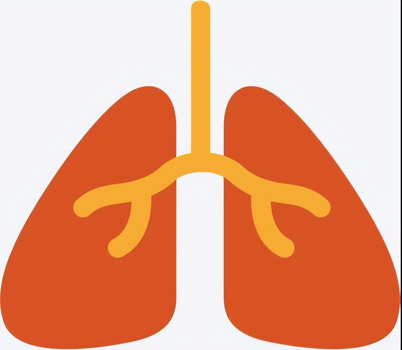 造成塵肺病的元兇肉眼看不見，佩戴高等級防塵口罩才能預(yù)防