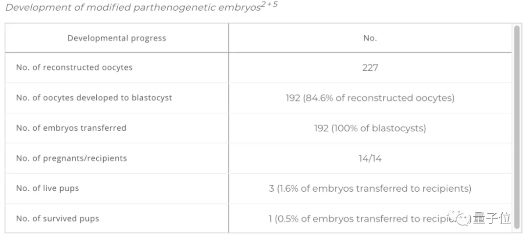 不用精子就能繁育后代，科学家只用1个卵细胞就培育出健康小鼠