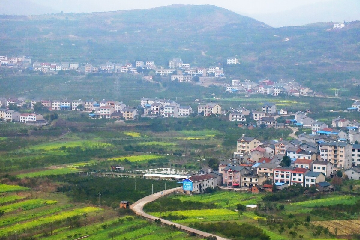 农村养殖场遇到强拆，如何有效维权？