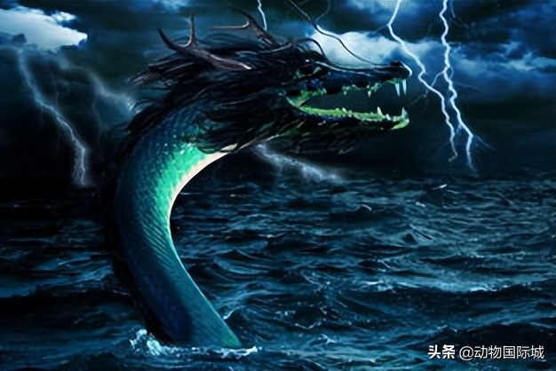 蛇进化为龙的七个(ge)阶段（中国最吓人的一条巨蛇）-第11张图片-大连信息网