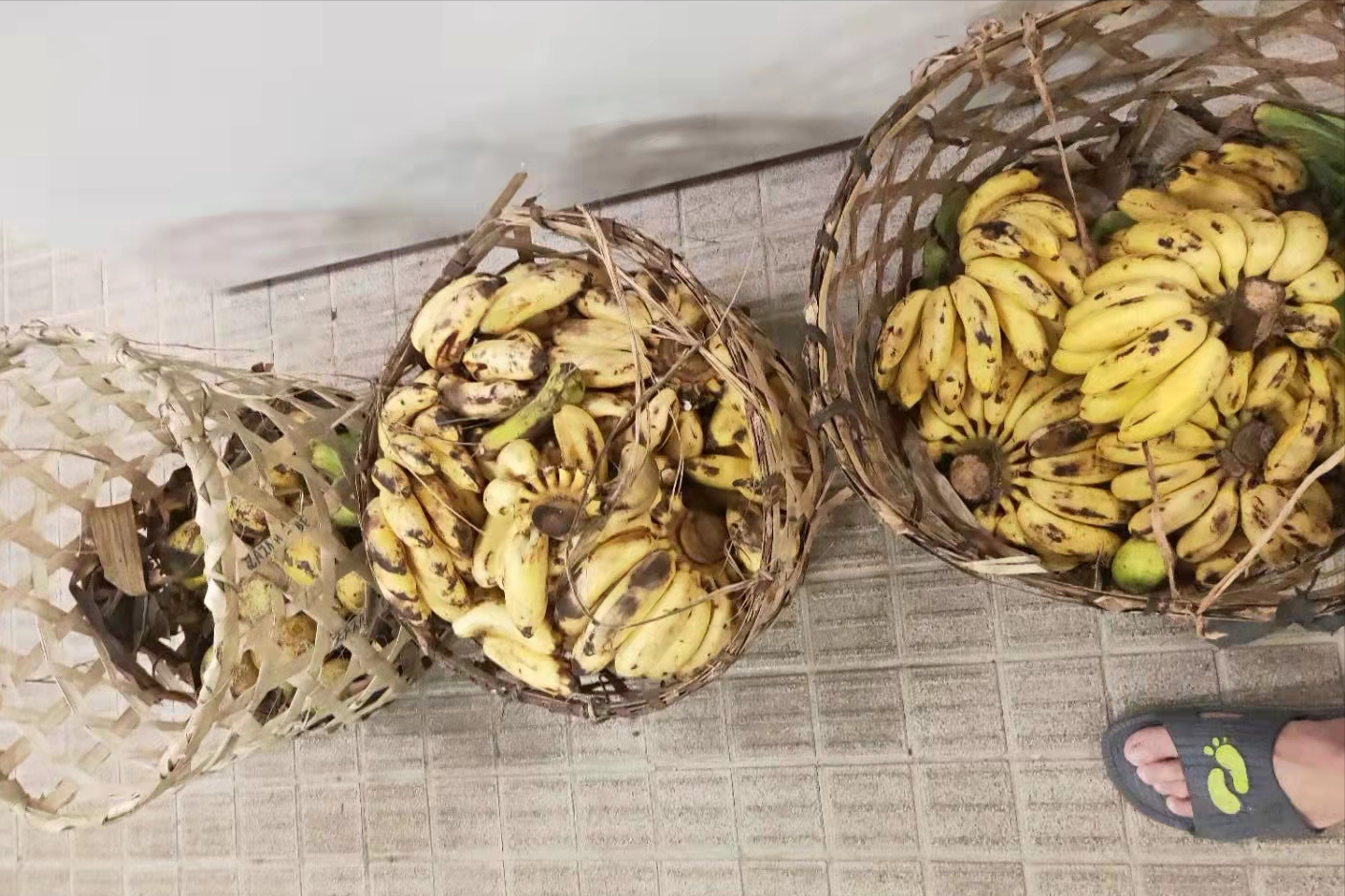 船上工作无聊寂寞，船员得知要去马达加斯加，个个生龙活虎，兴奋